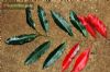 Elaeocarpus angustifolius / fruta azul ou �rvore-de-contas